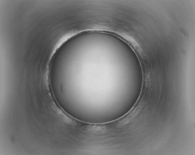 X0000116461374200912091239