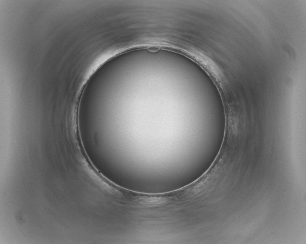 X0000116461382200912091239