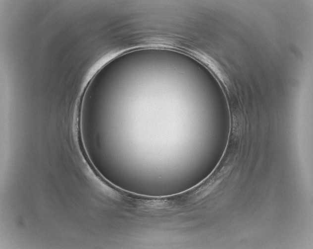 X0000116461387200912091239