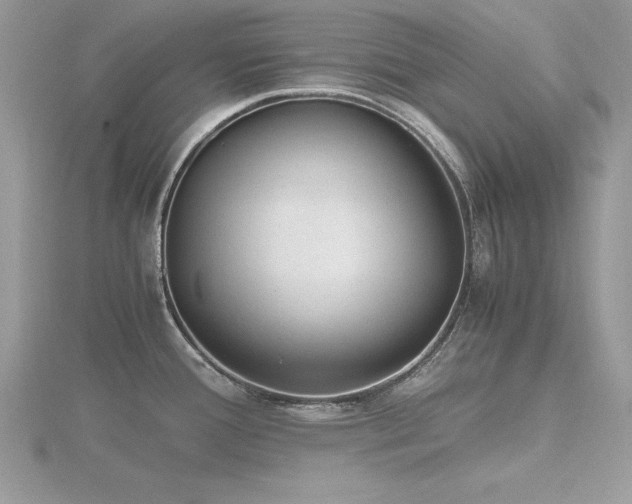 X0000116461388200912091239
