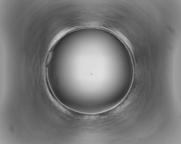 X0000116461389200912091239