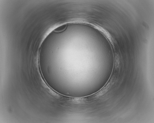 X0000116461390200912091239