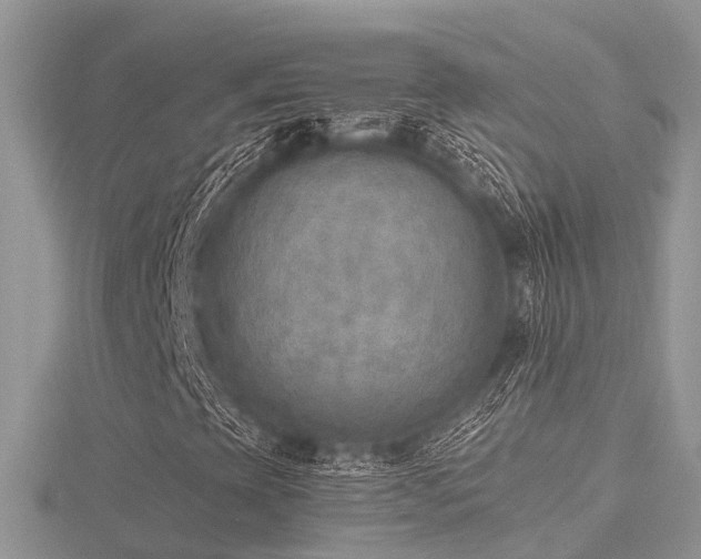 X0000116461393200912091239