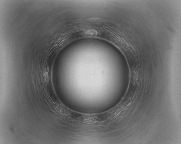 X0000116461394200912091239