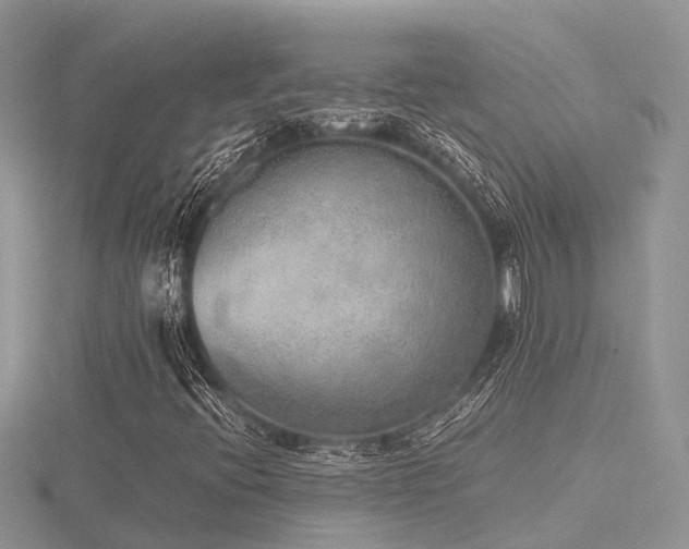 X0000116461396200912091239