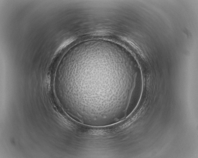 X0000116461402200912091239