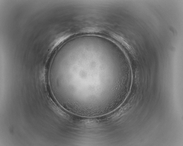 X0000116461404200912091239