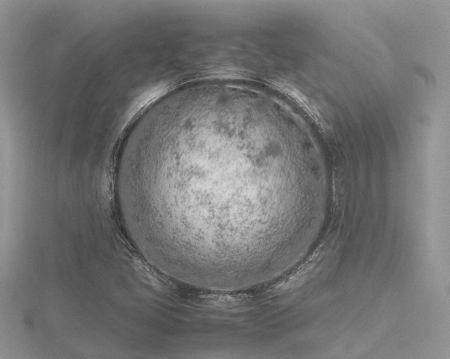 X0000116461405200912091239