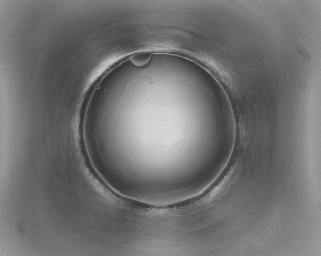 X0000116461422200912091239