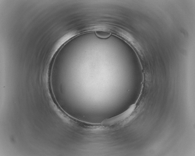 X0000116461426200912091239