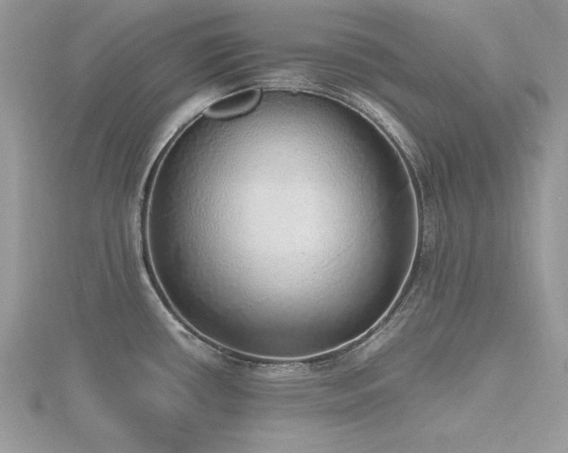 X0000116461434200912091239