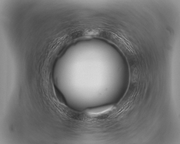 X0000116461441200912091239