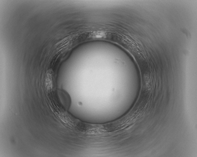 X0000116461442200912091239