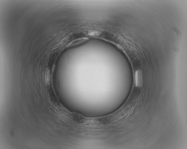 X0000116461443200912091239