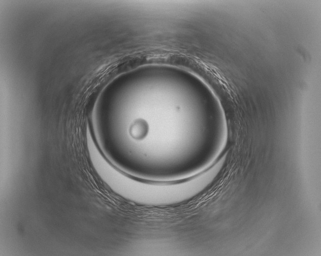X0000116461445200912091239