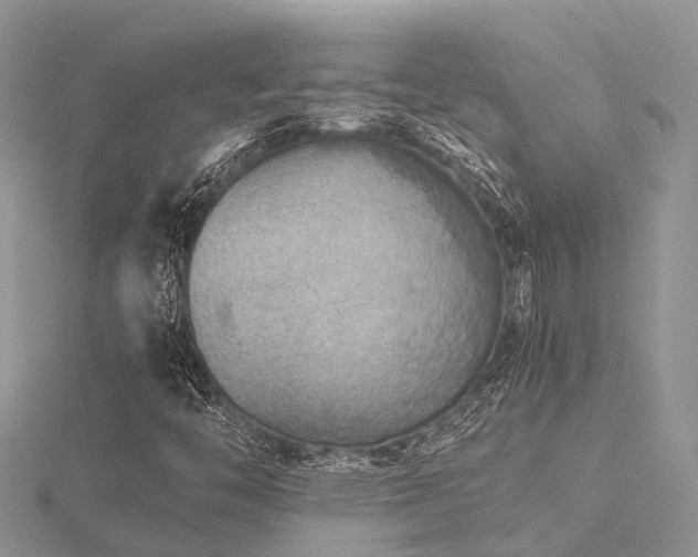 X0000116461446200912091239