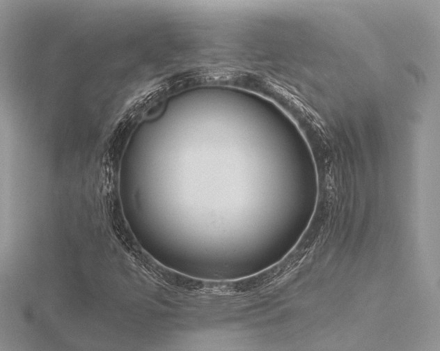 X0000116461447200912091239