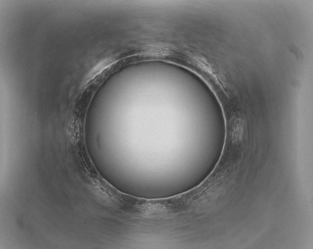 X0000116461448200912091238