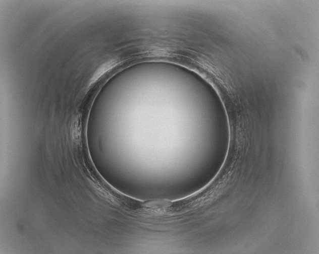 X0000116461450200912091238