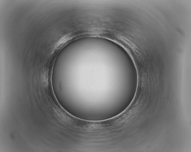 X0000116461451200912091238