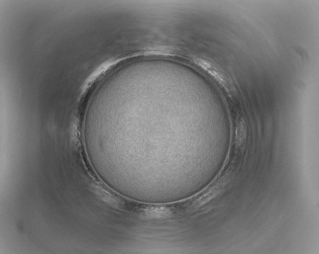 X0000116461454200912091238
