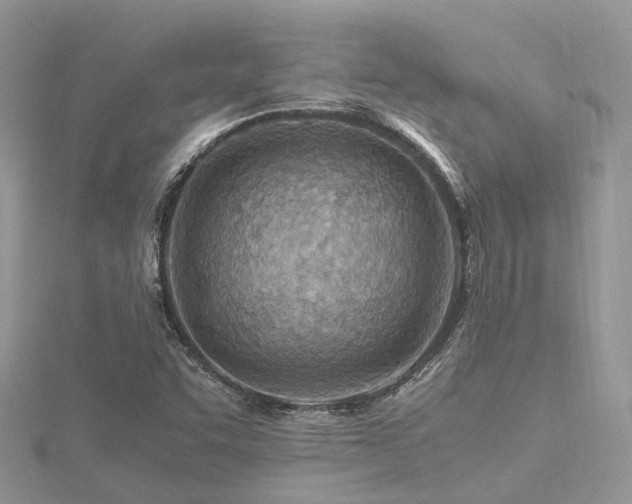 X0000116461455200912091238
