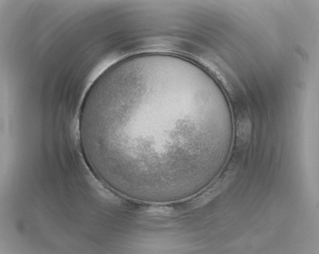 X0000116461466200912091238