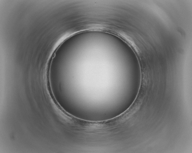 X0000116461475200912091238