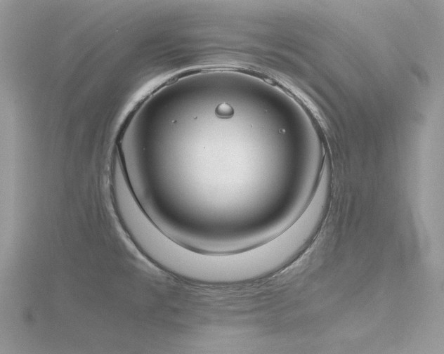 X0000116461477200912091238