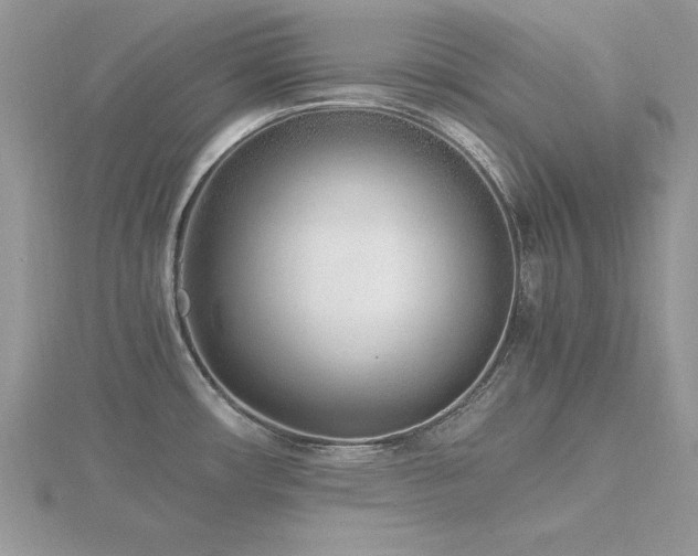 X0000116461482200912091238