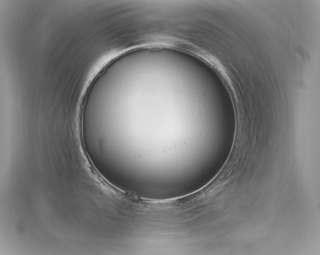 X0000116461488200912091238