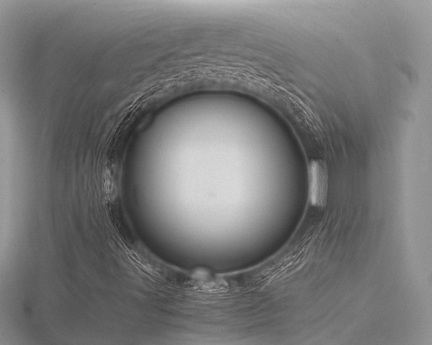 X0000116461491200912091237