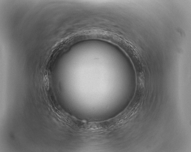 X0000116461493200912091237