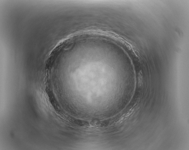 X0000116461494200912091237