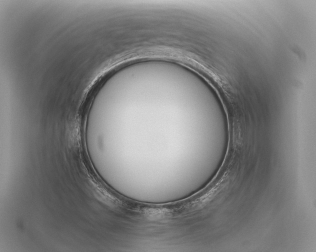 X0000116461498200912091237
