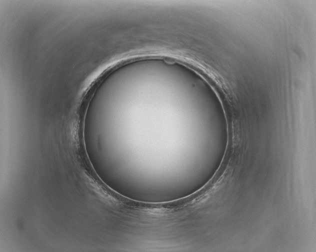 X0000116461502200912091238