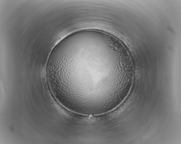 X0000116461521200912091238
