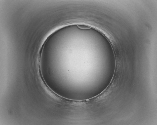 X0000116461526200912091238