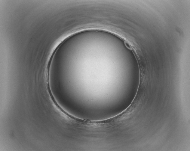 X0000116461527200912091238