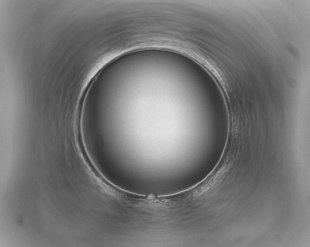X0000116461533200912091238