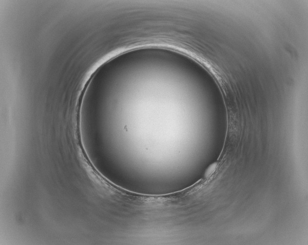 X0000116461534200912091238