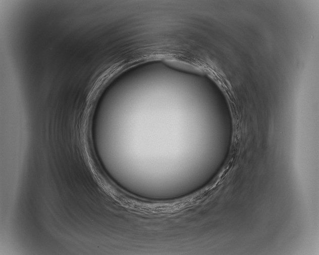 X0000116460001200912161241