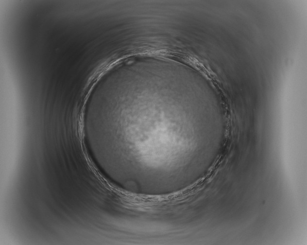 X0000116460002200912161241