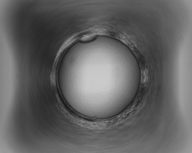 X0000116460004200912161241