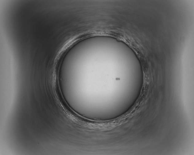 X0000116460005200912161241