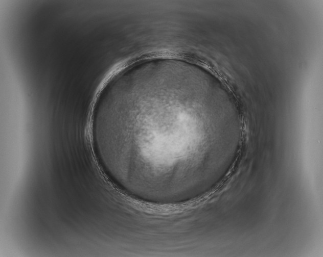 X0000116460006200912161241