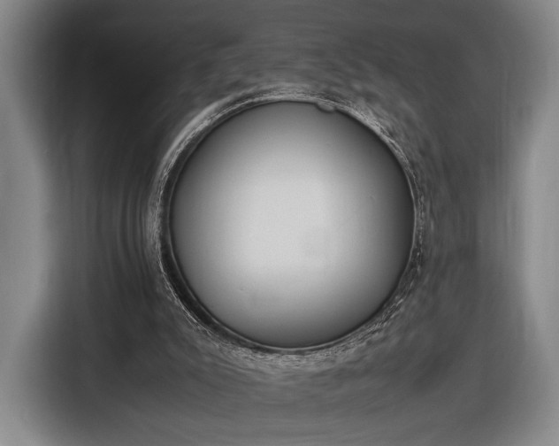X0000116460007200912161241