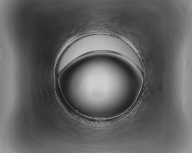 X0000116460008200912161241