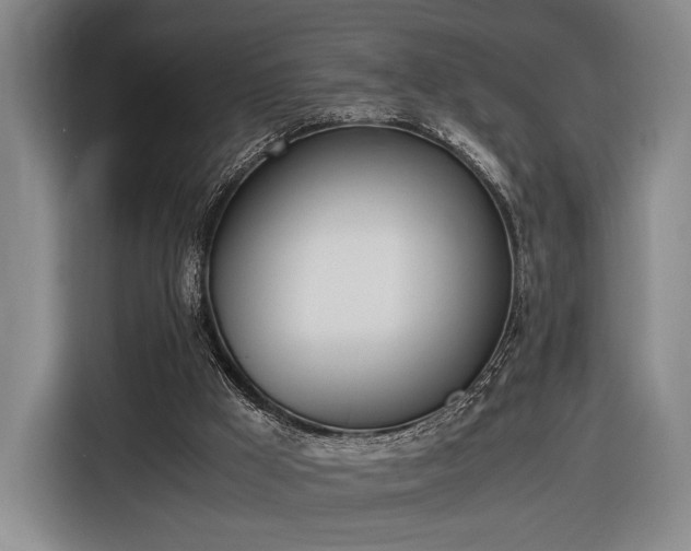 X0000116460009200912161241