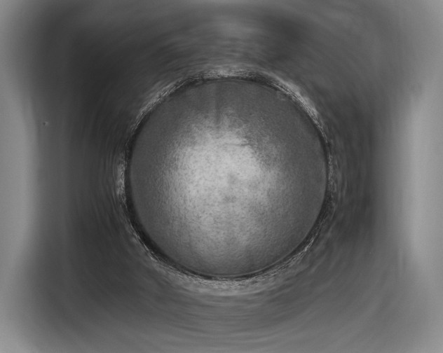 X0000116460010200912161241